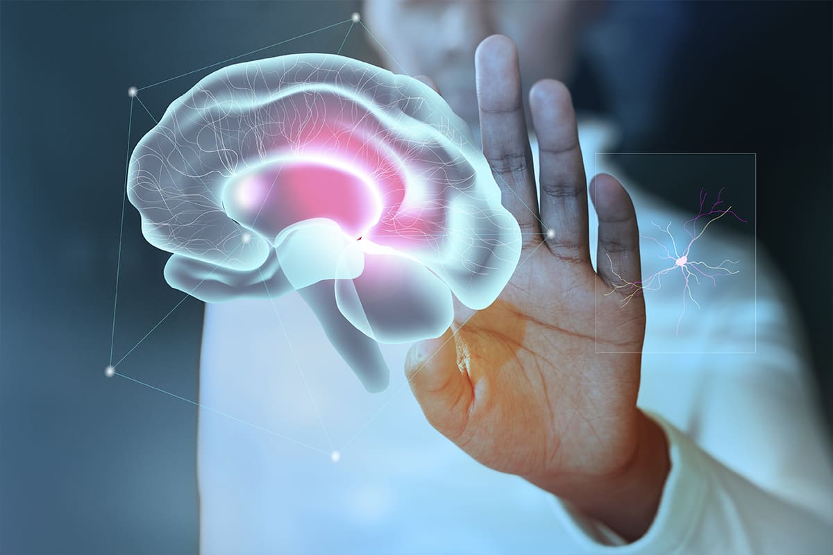 Neurología y neurocirugía